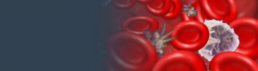 Blutkörperchen als symbolische Darstellung von medizinischen Grundlagenthemen wie Blut, Herzkreislauf, Herzinfarkt